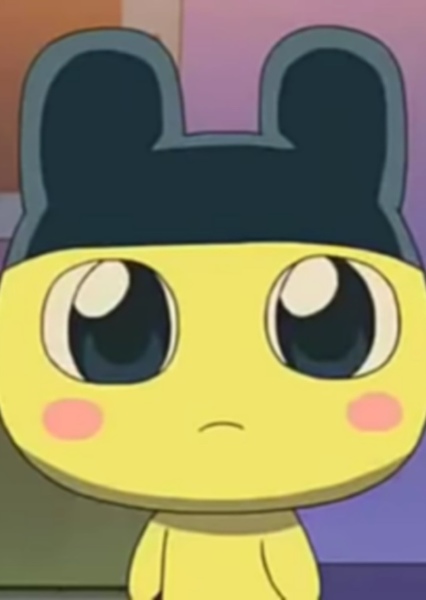 Mametchi photo