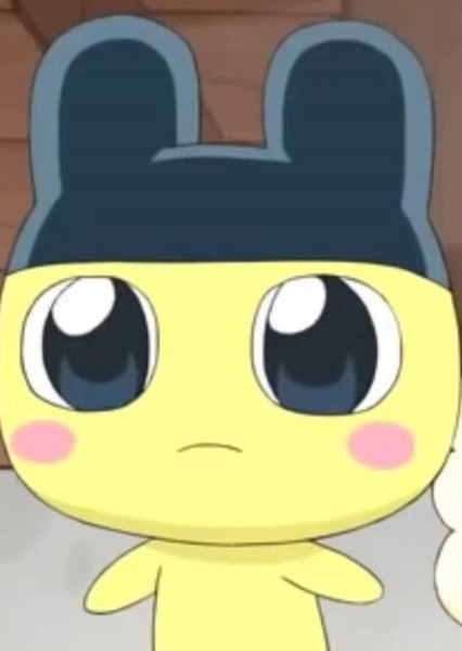 Mametchi photo