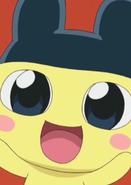Mametchi photo