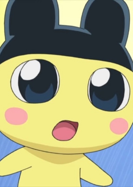 Mametchi photo