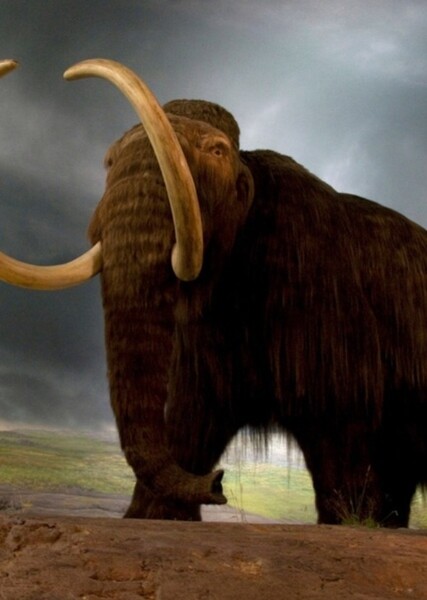Mammoth (ARK: Survival Evolution) photo