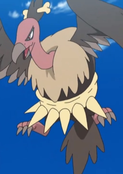 Mandibuzz photo