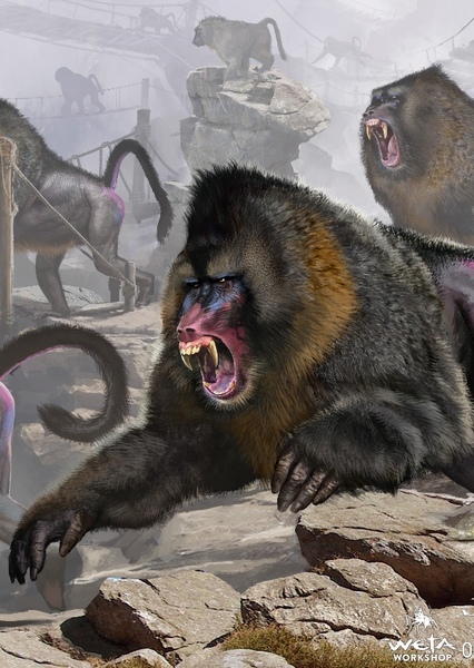 Mandrill photo