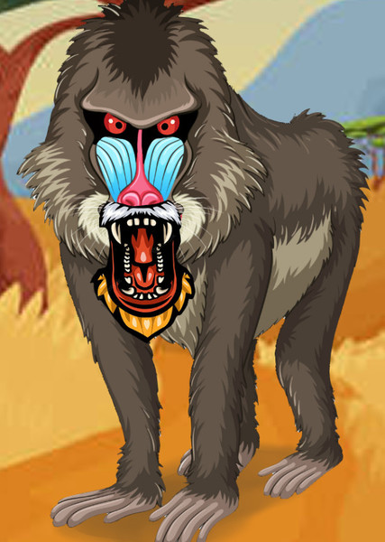 Mandrill photo