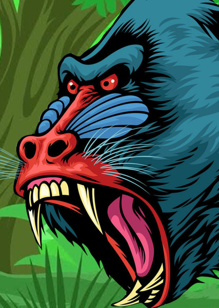 Mandrill photo
