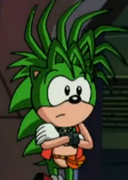 Manic The Hedgehog photo