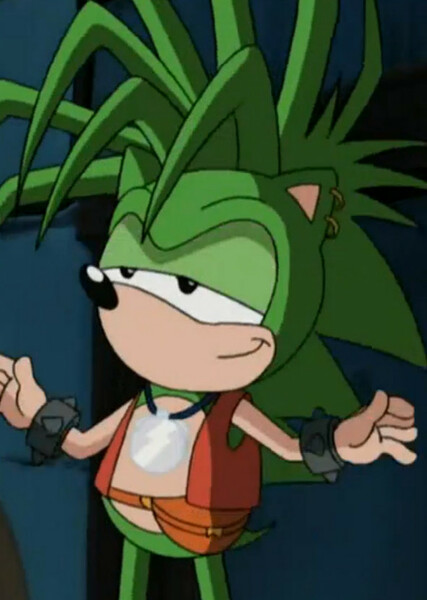Manic The Hedgehog photo