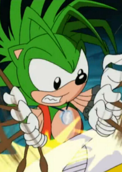 Manic The Hedgehog photo