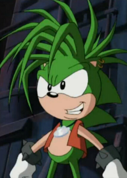 Manic The Hedgehog photo