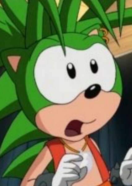 Manic The Hedgehog photo