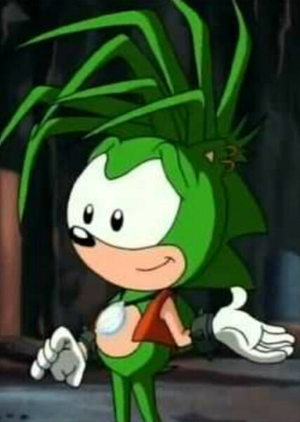 Manic The Hedgehog photo