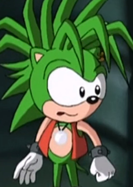 Manic The Hedgehog photo
