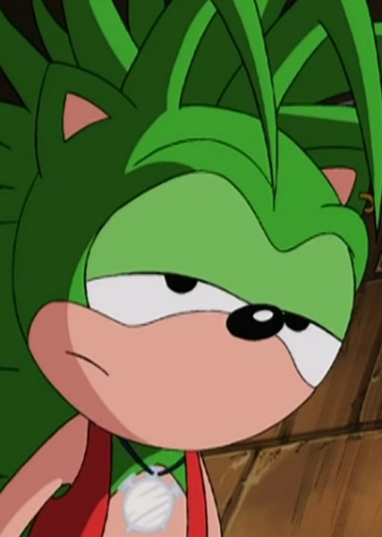 Manic The Hedgehog photo