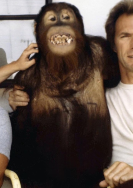 Manis the Orangutan photo