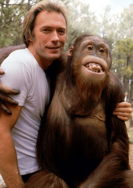 Manis the Orangutan photo