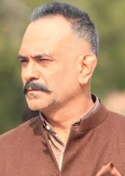 Manish Chaudhary photo