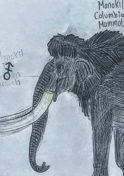 Manokil the Woolly Mammoth photo