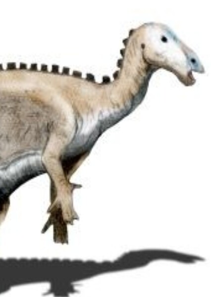 Mantellisaurus