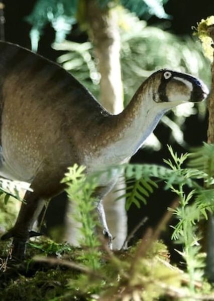 Mantellisaurus photo