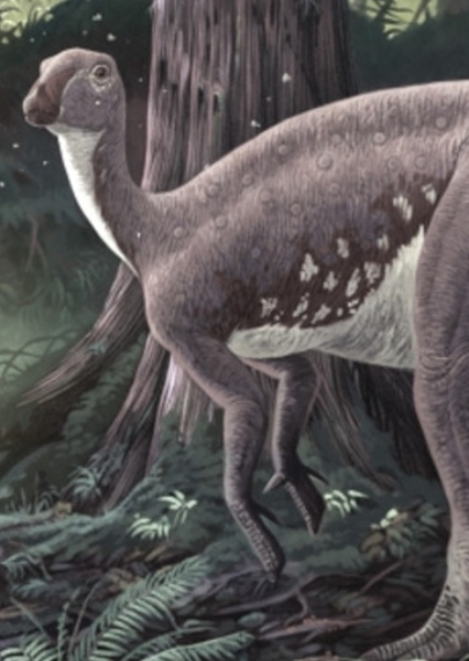 Mantellisaurus photo