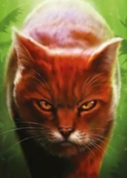 Mapleshade (Warrior Cats)