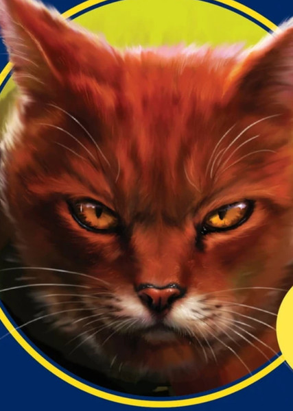 Mapleshade (Warrior Cats) photo