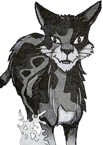 Mapleshade (Warrior Cats)
