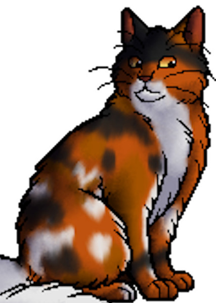 Mapleshade (Warrior Cats) photo
