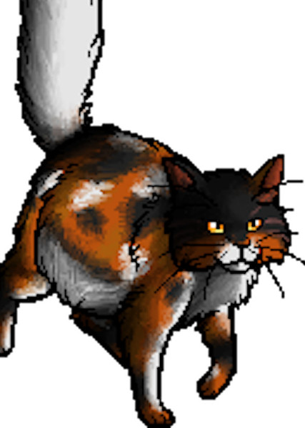 Mapleshade (Warrior Cats) photo