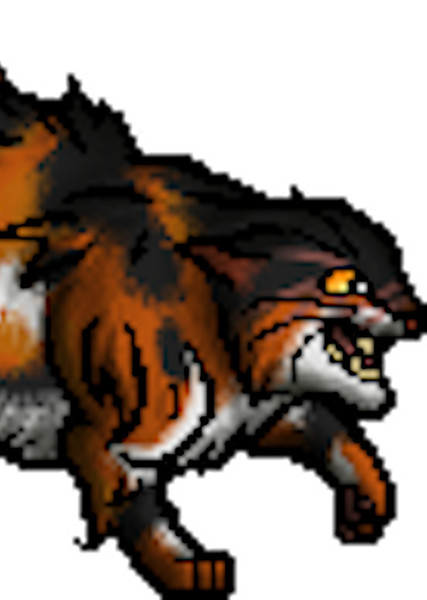 Mapleshade (Warrior Cats) photo