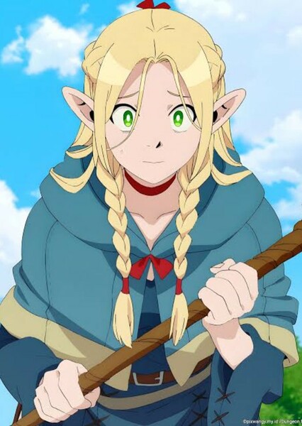 Marcille Donato (Dungeon Meshi) photo
