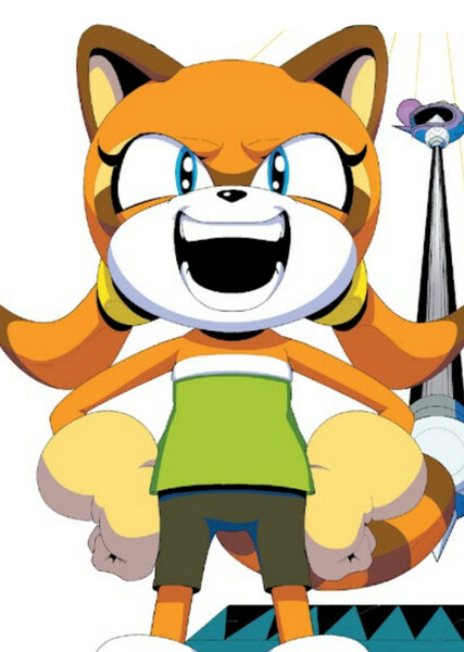 Marine the Raccoon photo