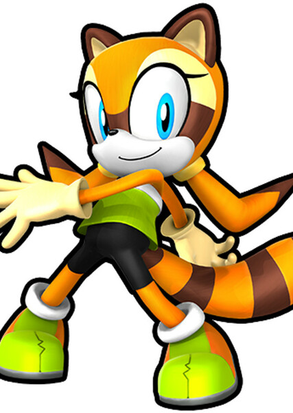 Marine the Raccoon photo