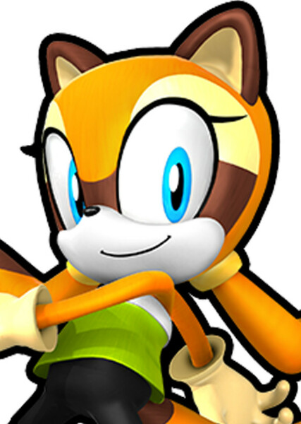 Marine the Raccoon photo