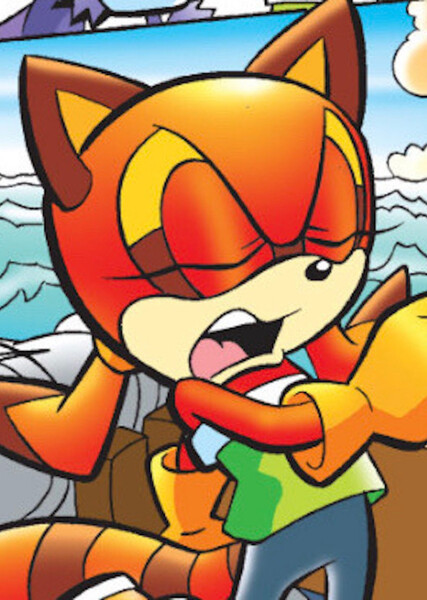 Marine the Raccoon photo
