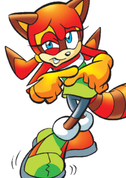 Marine the Raccoon photo