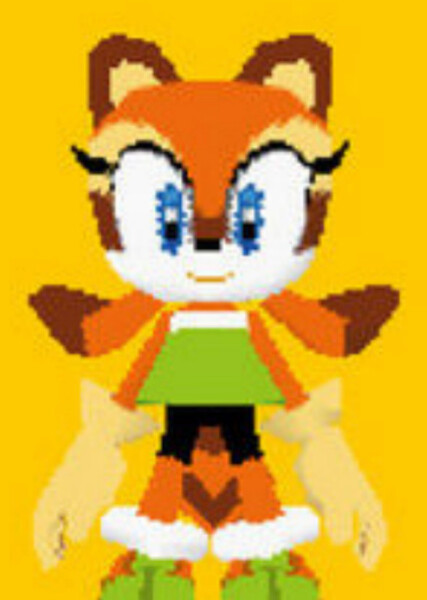 Marine the Raccoon photo