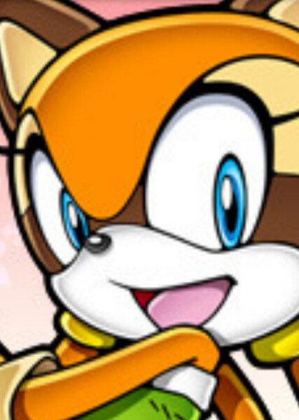 Marine the Raccoon photo