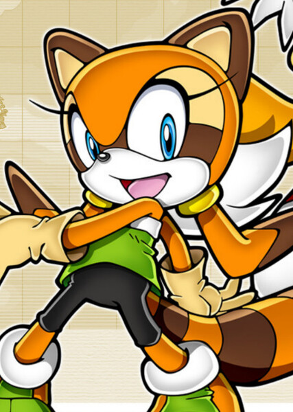 Marine the Raccoon photo