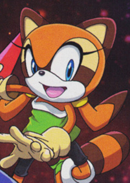 Marine the Raccoon photo