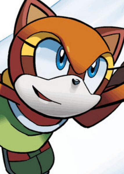 Marine the Raccoon photo