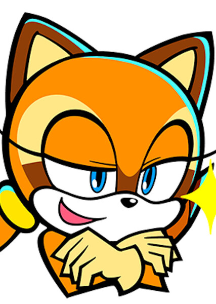 Marine the Raccoon photo