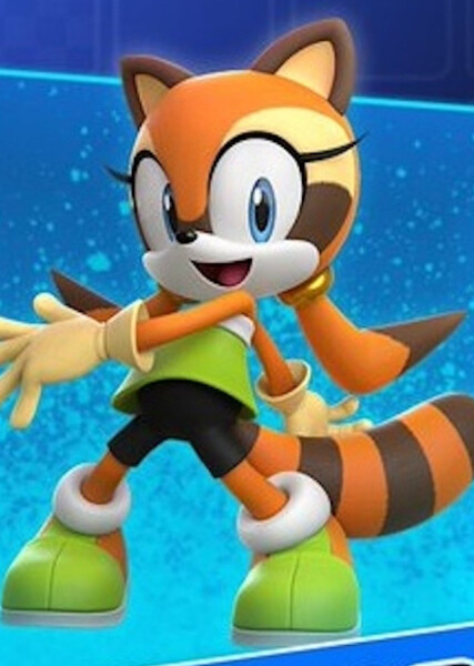 Marine the Raccoon photo
