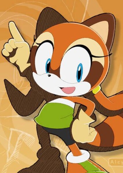 Marine the Raccoon