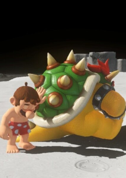 Mario and Bowser photo