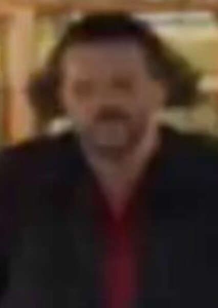 Mark Boone Junior photo