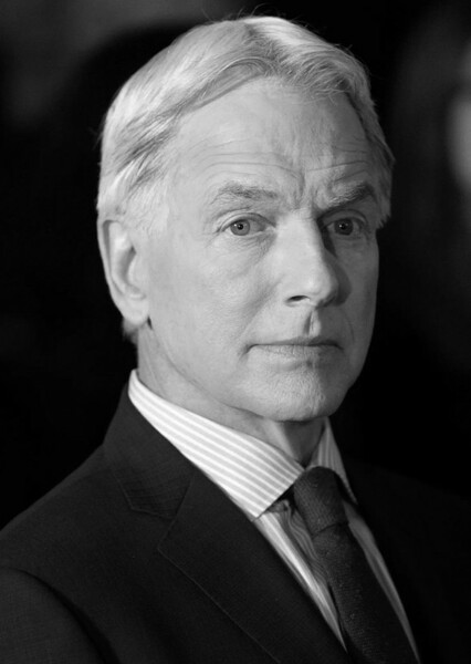 Mark Harmon photo