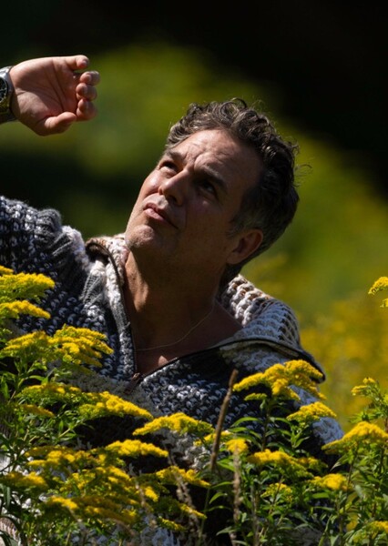 Mark Ruffalo photo