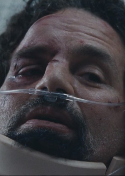 Mark Ruffalo photo