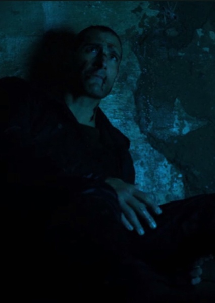 Marko Zaror